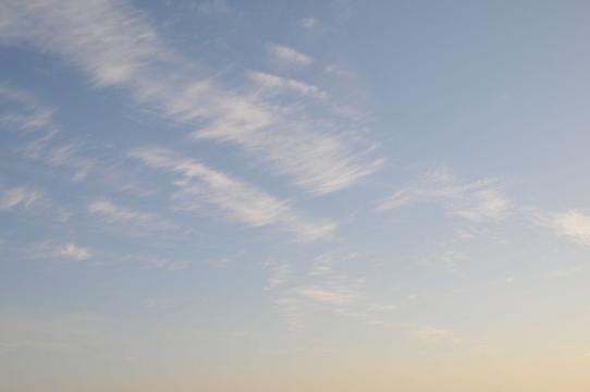 DSC_7538_R.jpg