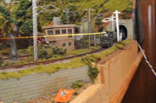 DSC_7882_R.jpg