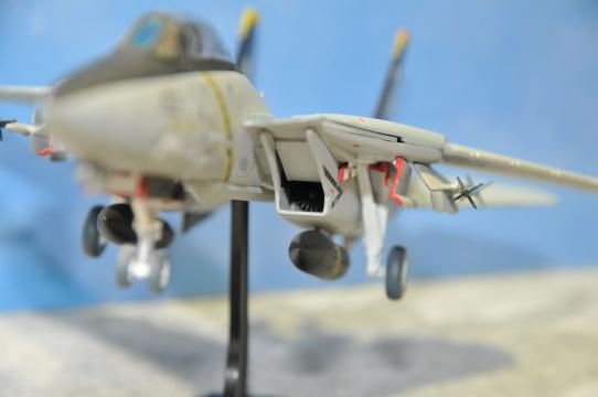 DSC_7965_R.jpg
