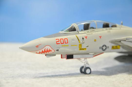 DSC_8010_R.jpg