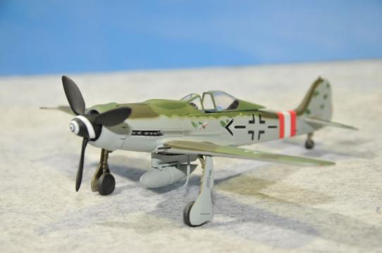 DSC_8037_R.jpg