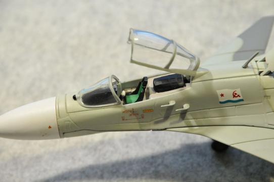 DSC_8126_R.jpg
