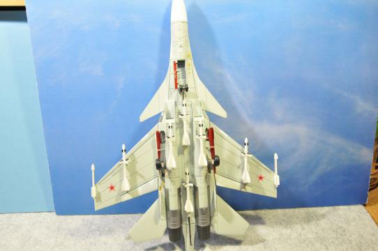 DSC_8129_R.jpg