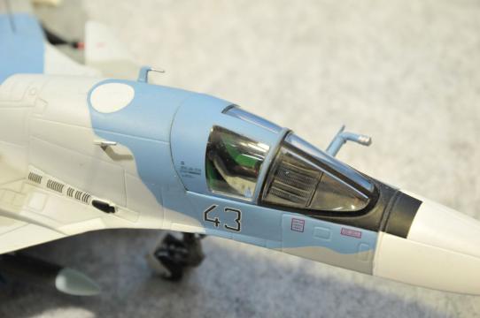 DSC_8141_R.jpg