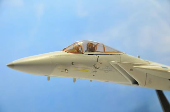DSC_8174_R.jpg