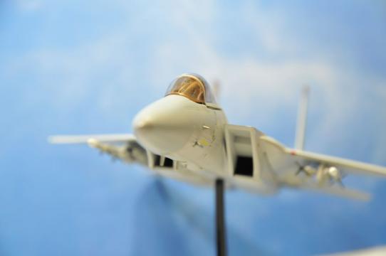 DSC_8175_R.jpg