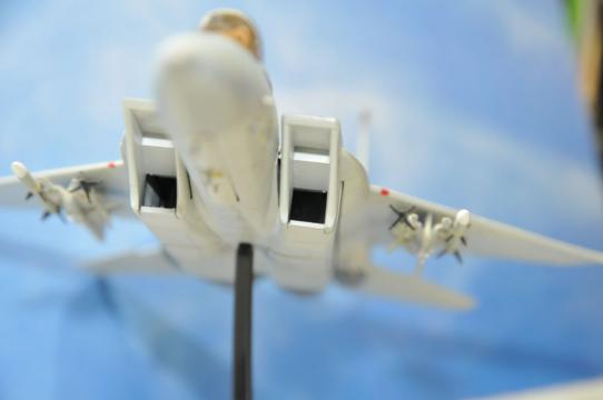 DSC_8177_R.jpg