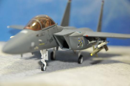 DSC_8207_R.jpg