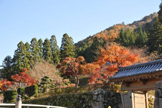 DSC_8489_R.jpg