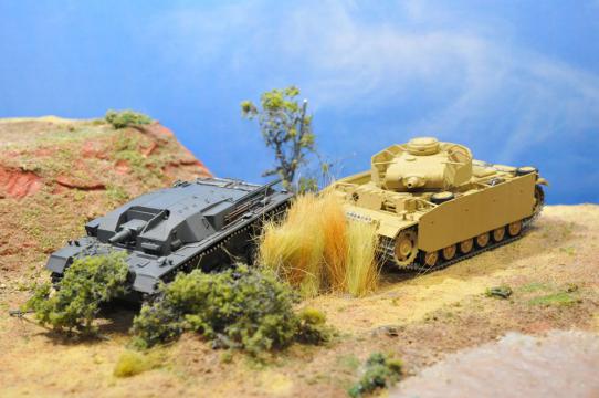 DSC_8557_R.jpg
