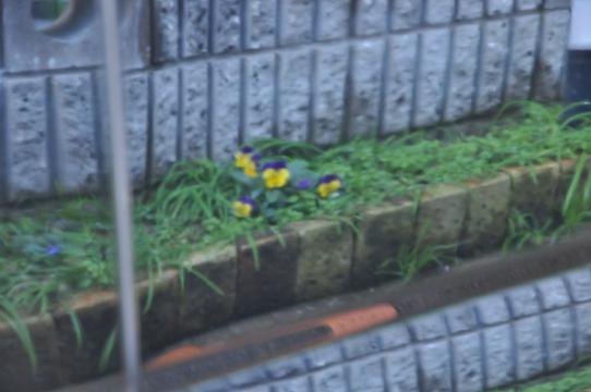 DSC_8917_R.jpg