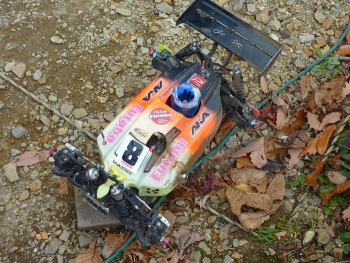 141027losi2.jpg