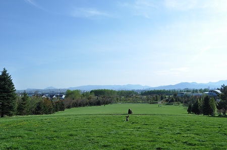 DSC_0502.jpg