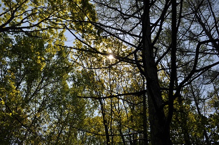 DSC_0561.jpg