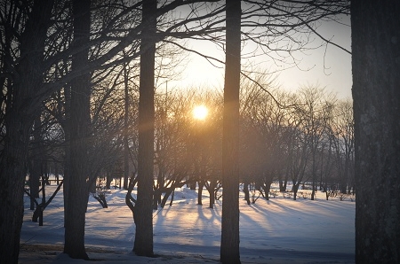 DSC_1117.jpg