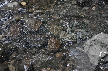 DSC_1314.jpg
