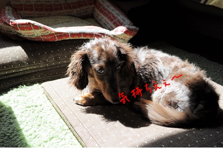 kinou5.jpg