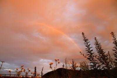 IMG_1066.jpg