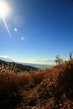 IMG_1672.jpg