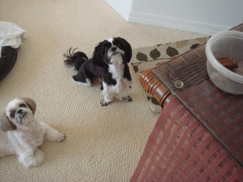 DSC02848.jpg