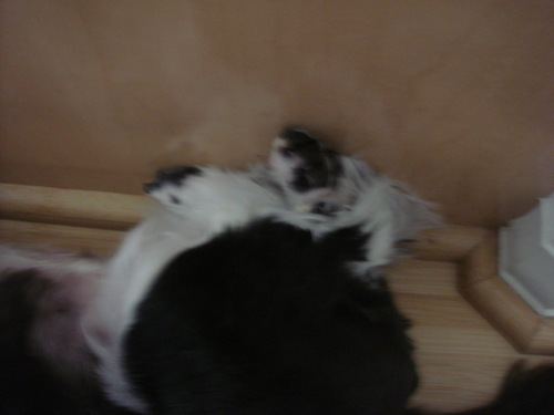 DSC03127.jpg