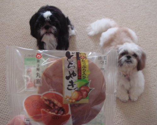 DSC03502.jpg