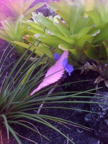 default1_20120914150833.jpg