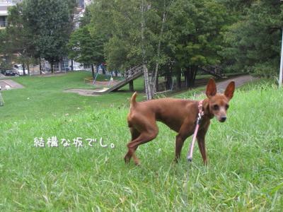IMG_8145_convert_20120919111219.jpg