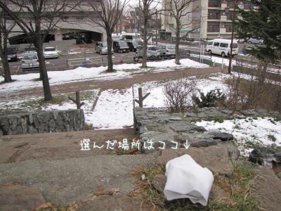 IMG_8734.jpg