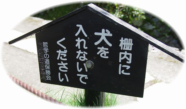 2455へ
