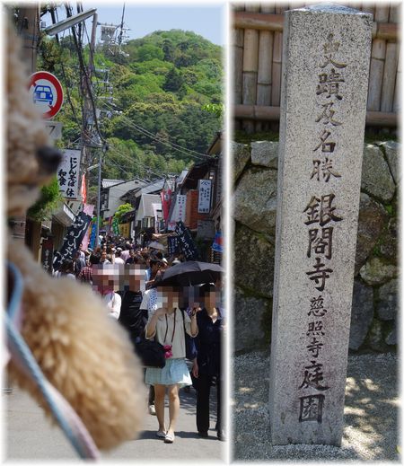 24512は
