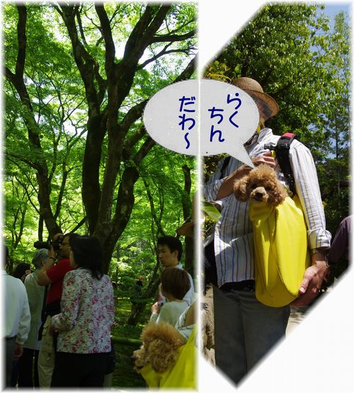24512ち
