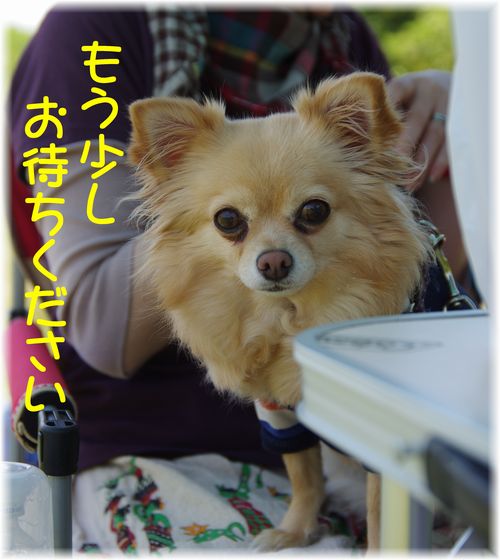 24519り