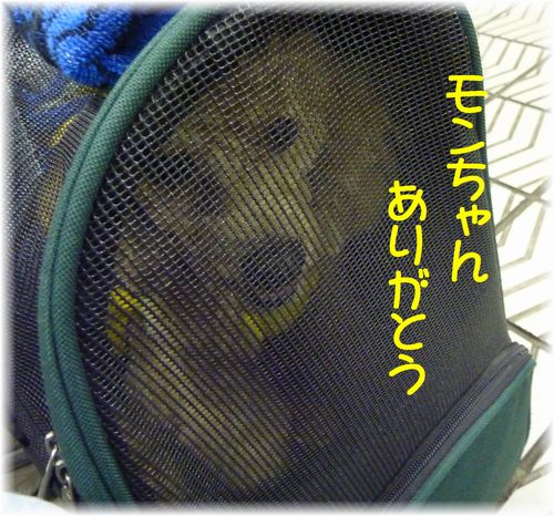 24524に