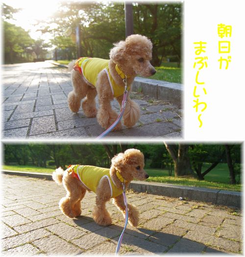 24527ろ