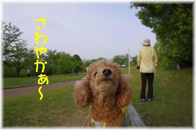2469ほ