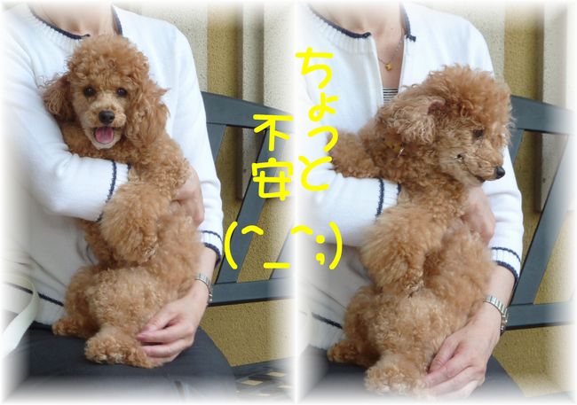 24618い