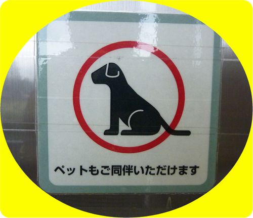24829ろ