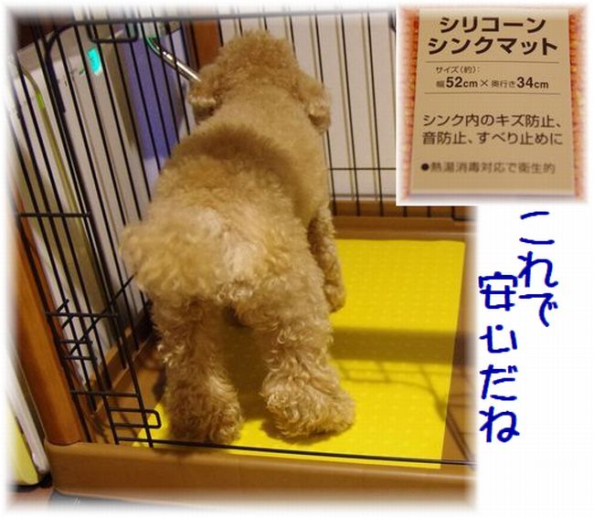24930ろ
