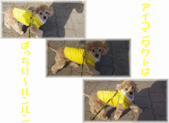 241208る