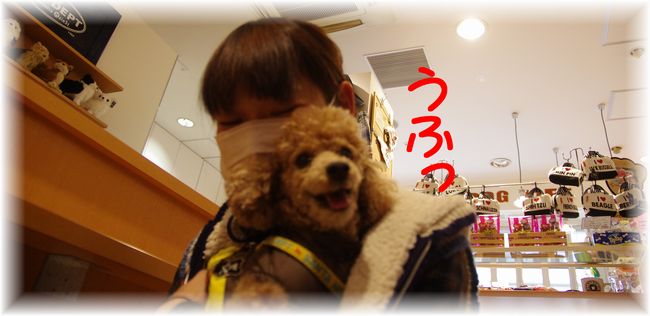 250110に