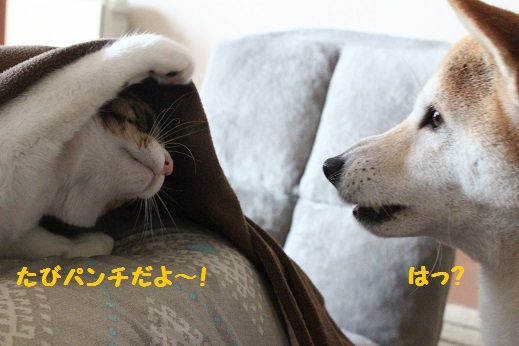 パンチ!
