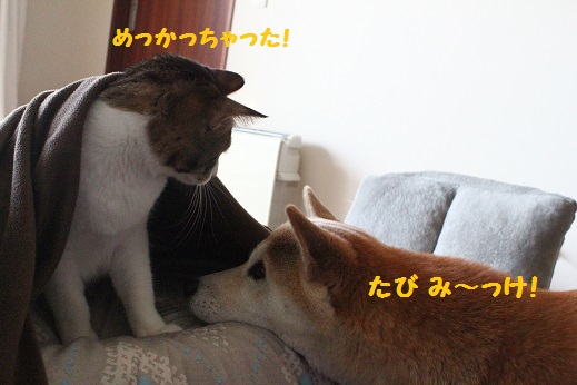 み~っけ?