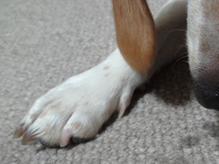 120925_3.jpg