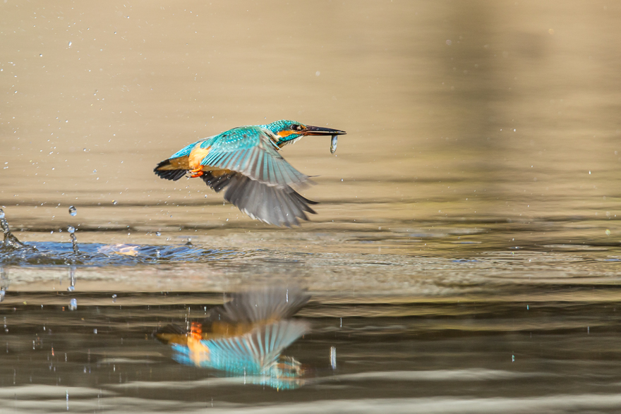 20140123-_S5P0271.jpg