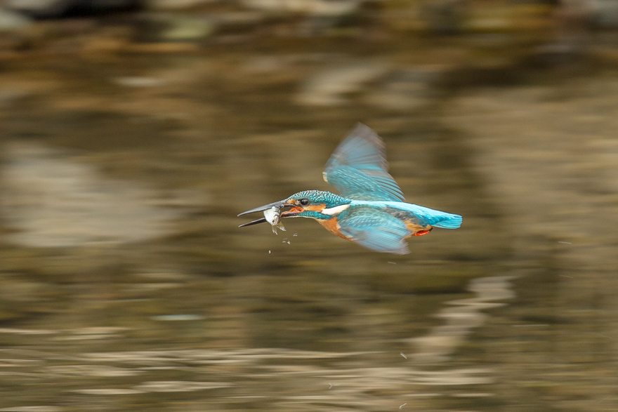 20140125-_S5P0126.jpg