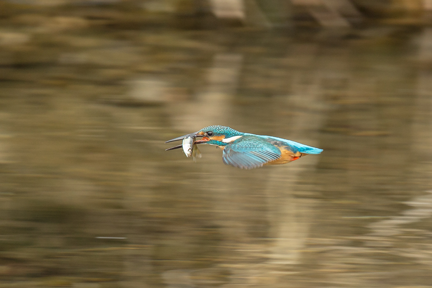 20140125-_S5P0135.jpg