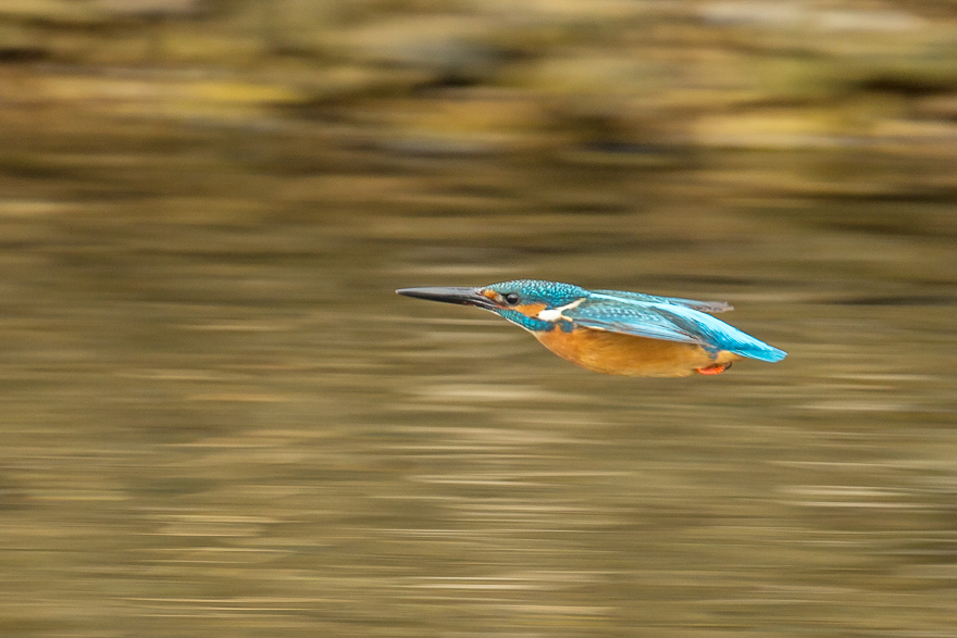 20140125-_S5P0200.jpg