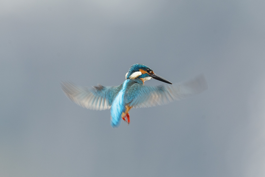 20140125-_S5P0268.jpg