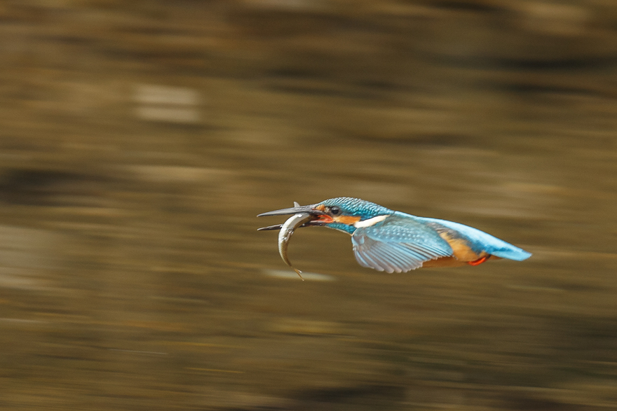 20140125-_S5P0309.jpg